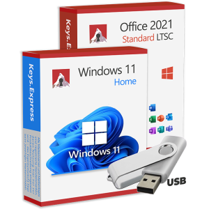 Win 11 Home & Office 2021 Standard USB