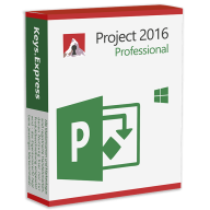 Project 2016 Professional 