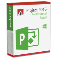 Project 2016 Professional Retail