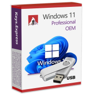 Windows 11 Pro OEM USB