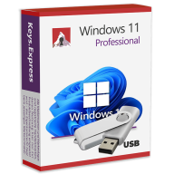 Windows 11 Professional USB