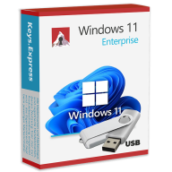 Windows 11 Enterprise USB