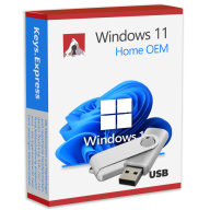 Windows 11 Home OEM USB