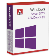 Server 2019 CAL Device (5)