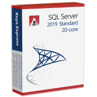 SQL 2019 Standard 20-core