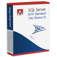 SQL 2019 CAL Device (5)